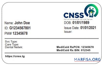 Blank Togo health insurance card example